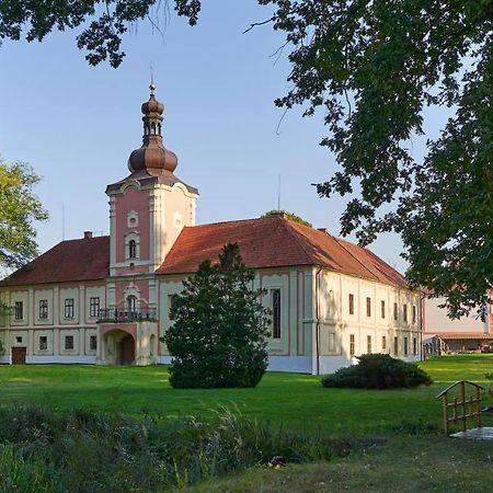 Penzion Zamek Lesany Netvořice Екстериор снимка